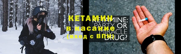трава Ельня