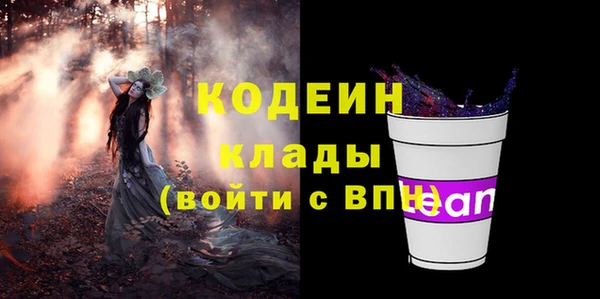 трава Ельня