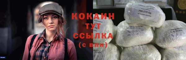 трава Ельня