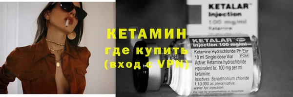 трава Ельня