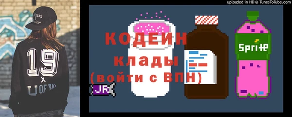 трава Ельня