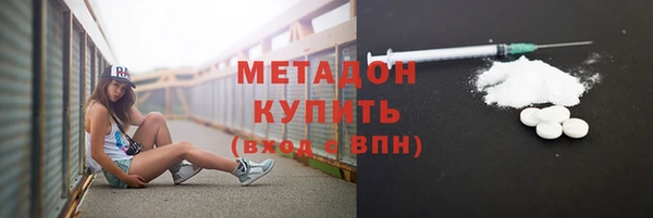 трава Ельня