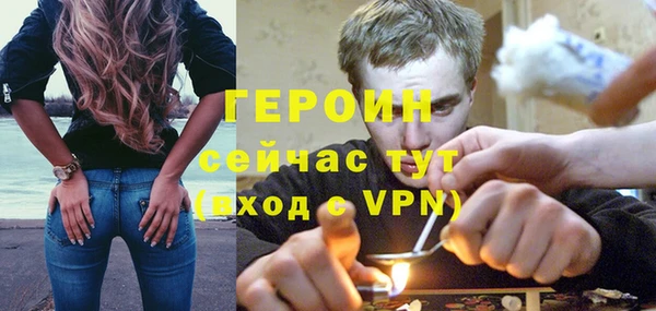 трава Ельня
