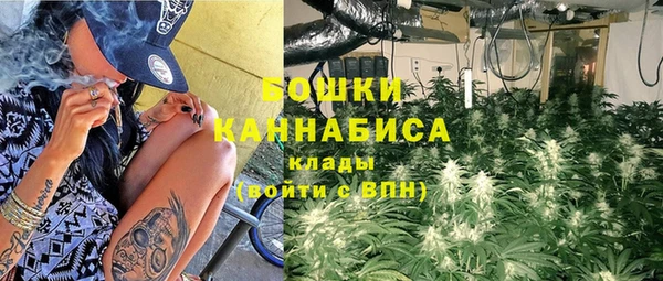 трава Ельня