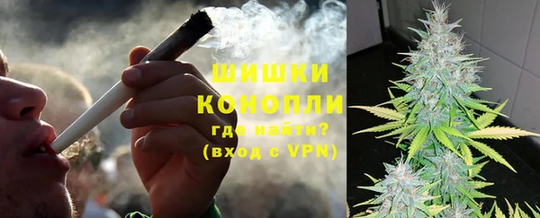 трава Ельня
